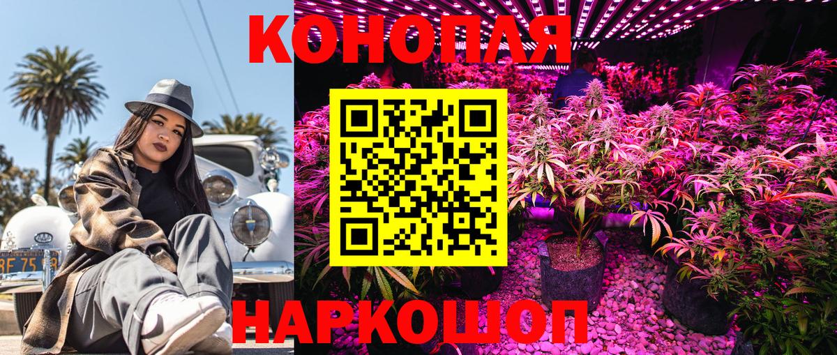 Каннабис сатива Заводоуковск